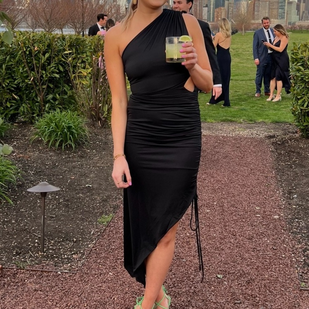 Showpo Dionyza Dress